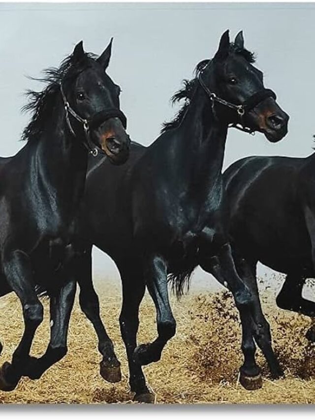 61rzLjZ6hCL._AC_UF1000,1000_QL80_