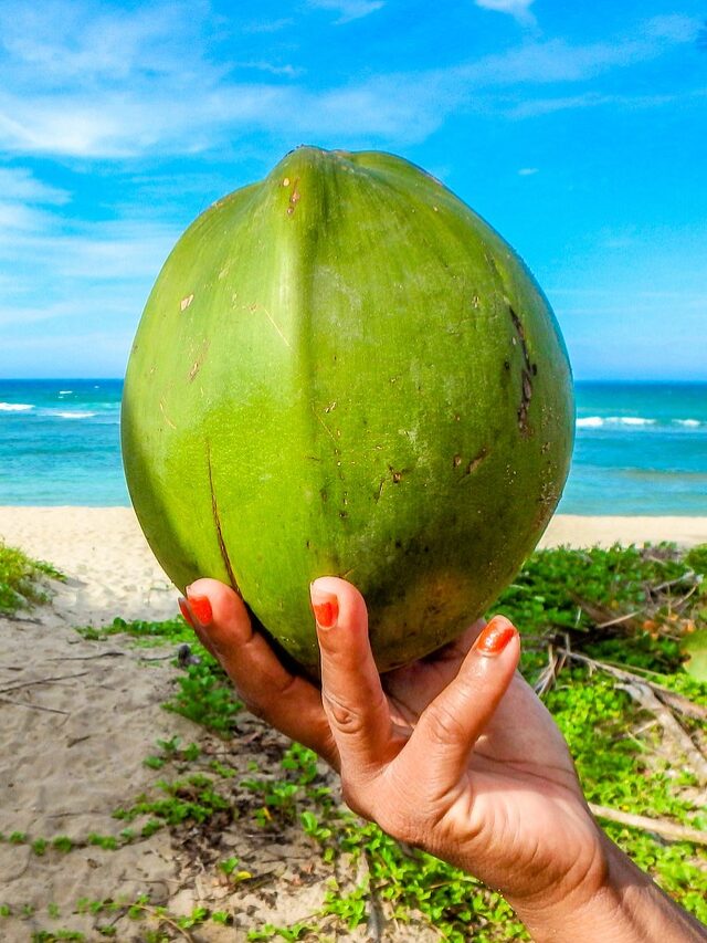 coconut-2485888_1280