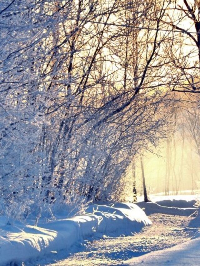 e72b75bf01e6c9dd7a5dff335b2eef4a